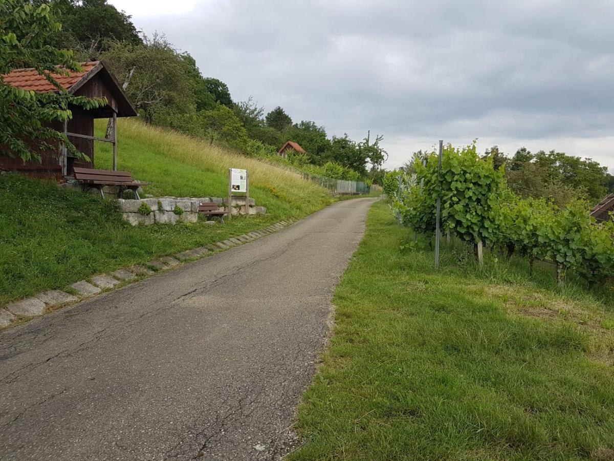 Ferienwohnung Burgblick Im Neuffener Tal Mit Sauna Und Wallbox Frickenhausen  Exterior photo