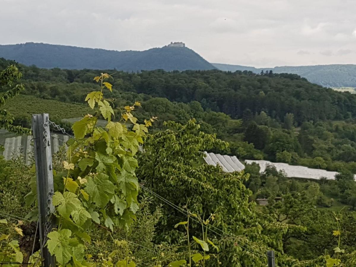 Ferienwohnung Burgblick Im Neuffener Tal Mit Sauna Und Wallbox Frickenhausen  Exterior photo