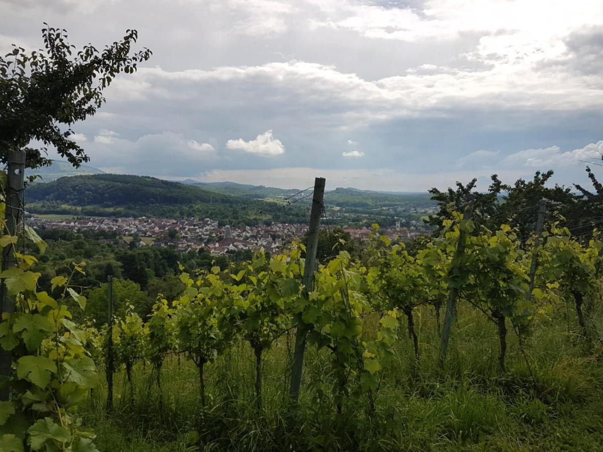 Ferienwohnung Burgblick Im Neuffener Tal Mit Sauna Und Wallbox Frickenhausen  Exterior photo